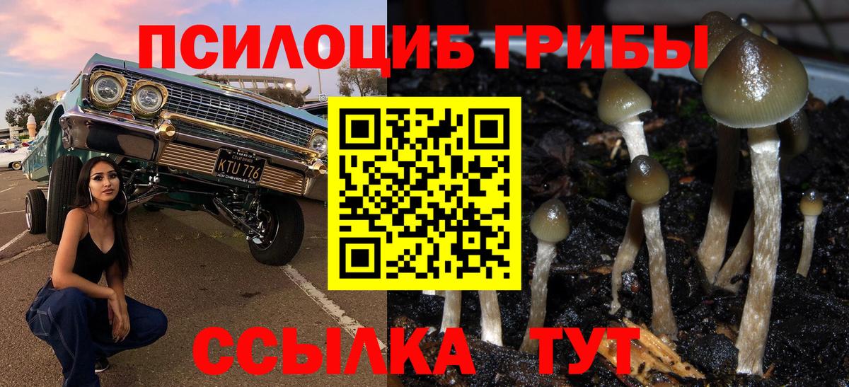 Галлюциногенные грибы мицелий Изобильный